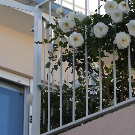 Erdgeschosswohnung Mit Terrasse Und Meerblick 아파트 트로기르